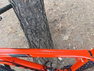 MTB Trek procaliber carbono 29 pulgadas btt bici 