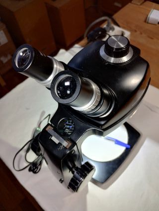 Microscopio Bausch & Lomb StereoZoom 4