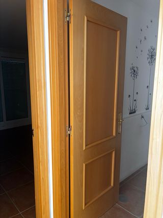 ‼️ LOTE 10 PUERTAS DE MADERA ‼️