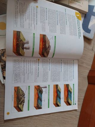 Biología y geología 4 eso anaya 
