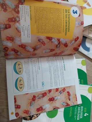 Biología y geología 4 eso anaya 