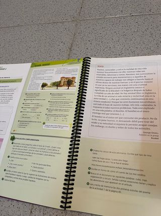 propuesta didáctica lengua 5 primaria, temas 0-4