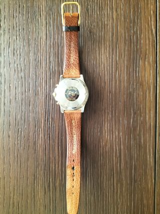 Philip Watch Cronografo Sea Lion Oro/Acciaio