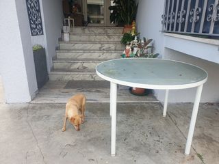 Tavolo da giardino in vetro e metallo