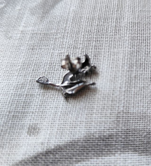 Pendiente Bruja en Escoba Plata 925