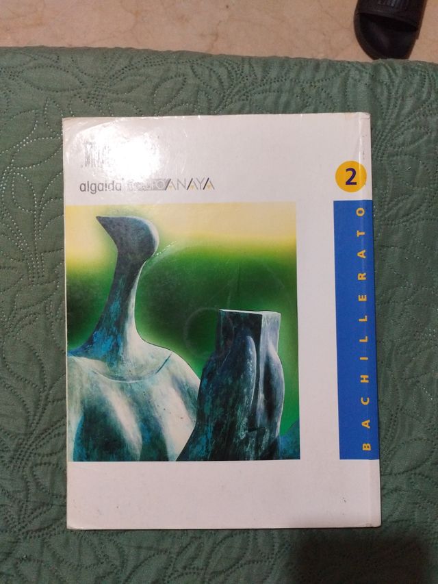 Lengua castellana y literatura 2 (Spanish Edition)