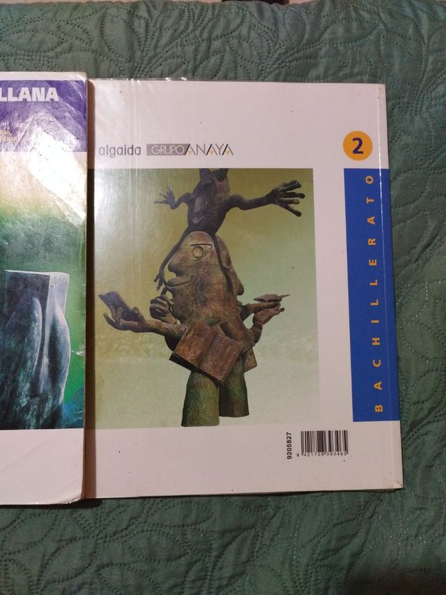 Lengua castellana y literatura 2 (Spanish Edition)