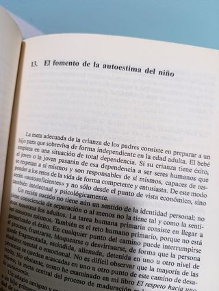 Los seis pilares de la autoestima / The Six Pil...