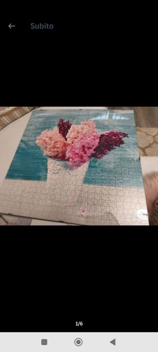 6 Puzzle con Cornice Plexiglass
