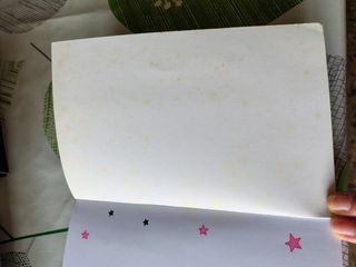 Libro Isadora Moon en el castillo encantado 