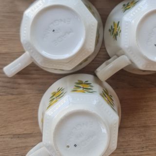 Vintage Johnson Brothers Lemon Tree Taza y Plato