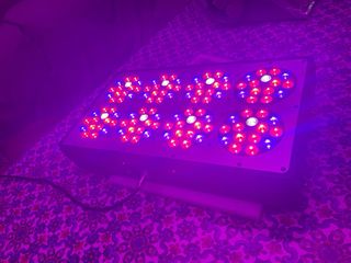 Panel LED Cultivo/Acuario APO8 280w