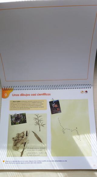 EDUCACION PLASTICA 6 PRIMARIA