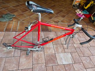 Dedonato bici corsa telaio rosso