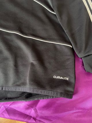 Sudadera Real Madrid Adidas Champions League