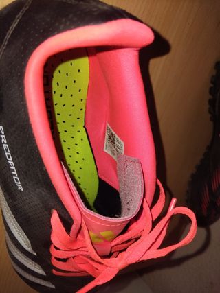 Zapatillas fútbol sala Adidas Predator.