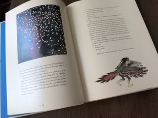 cuentos y leyendas de América Latina y España