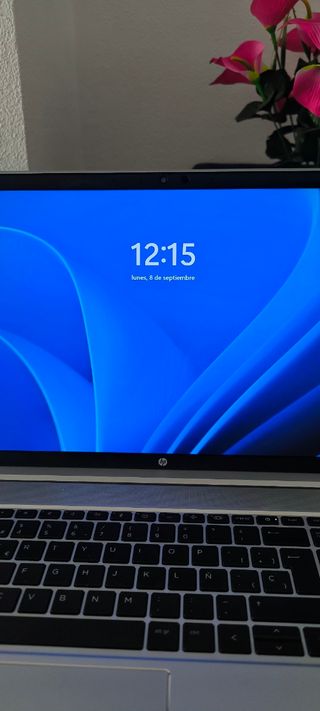 HP ProBook 450 G8 i7 16Ram 512SSD Color Plata