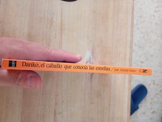 Danko, el caballo que conocía las estrellas (El...