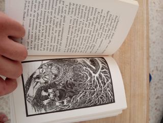 Danko, el caballo que conocía las estrellas (El...