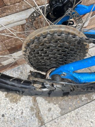 Bicicleta Specialized azul/amarilla