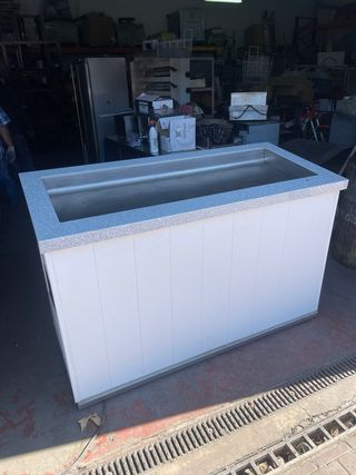 Expositor pescadería