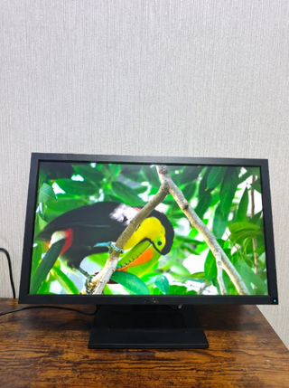 Monitor Dell E2311Hf FHD Negro