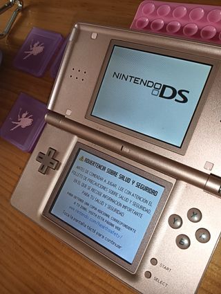 Nintendo DS Lite Edición de nintendogs