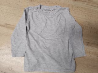 Camiseta niño manga larga gris 18/24 meses