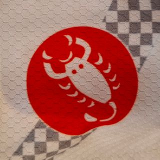 Maillot ciclismo Castelli Blanco y negro.