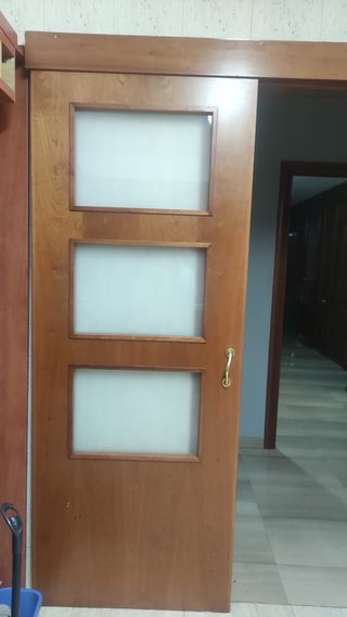 Conjunto de 10 puertas de calidad madera maziza