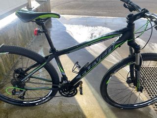 Bicicleta carbono 29