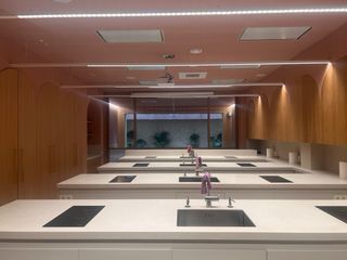 Electricista lampista.