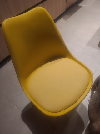 Sedie nordiche Mustard