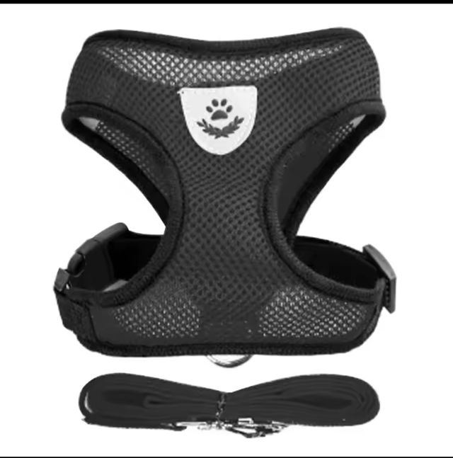 Arnés y correa para perrito/gatito