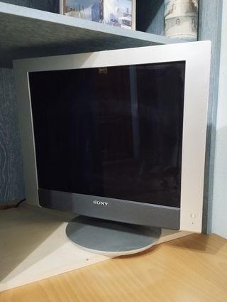Torre PC + Monitor Gris/Plateado