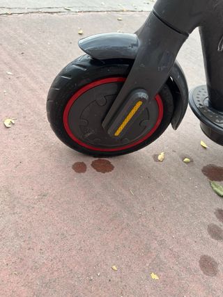 Patinete Eléctrico Xiaomi Pro 2