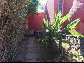 Mantenimiento de Jardines y fincas en general.