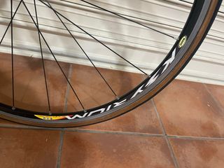Bicicleta Carretera Focus Variado Talla M 