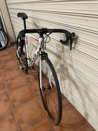 Bicicleta Carretera Focus Variado Talla M 