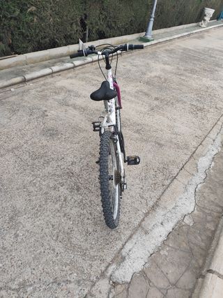 Bicicleta niña morada