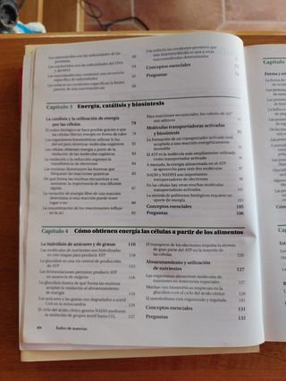 INTRODUCCION A LA BIOLOGIA CELULAR