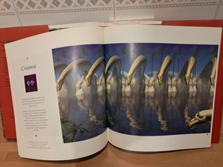 La tierra en 3D. Nuestro planeta visto a través...