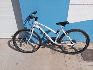 Bicicleta de Montaña INDUR 18V 6Y