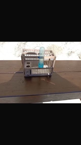 Jaulas de reclamo para pájaros