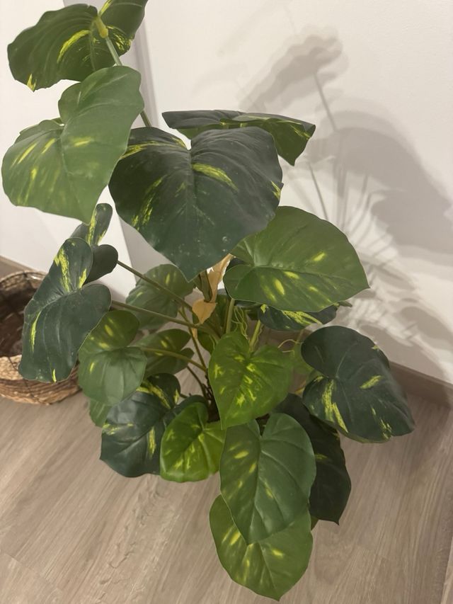 Planta artificial decorativa de la marca Blaine