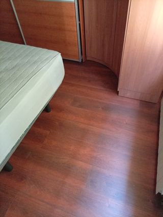 Parquetista profesional