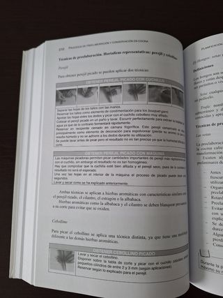 Procesos de preelaboración y conservación en co...