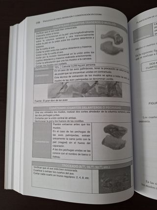 Procesos de preelaboración y conservación en co...