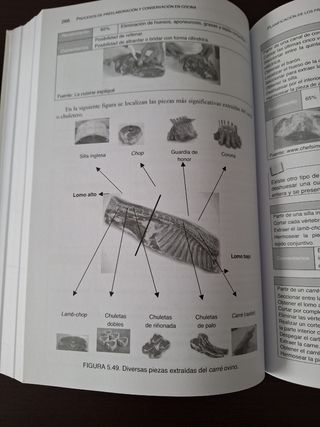 Procesos de preelaboración y conservación en co...